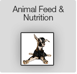 animal-feed-calcium-carbonate